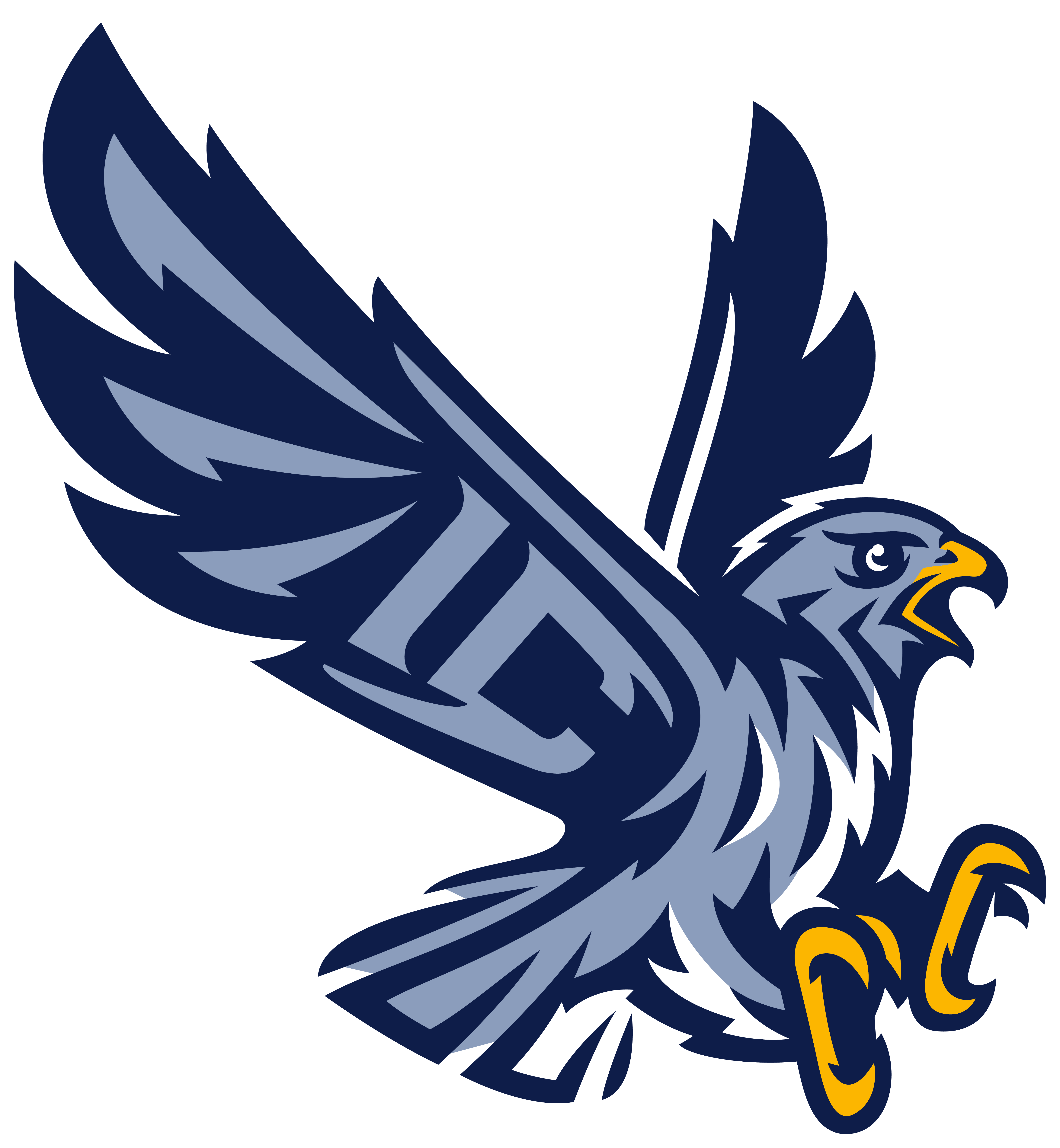 IC Falcons